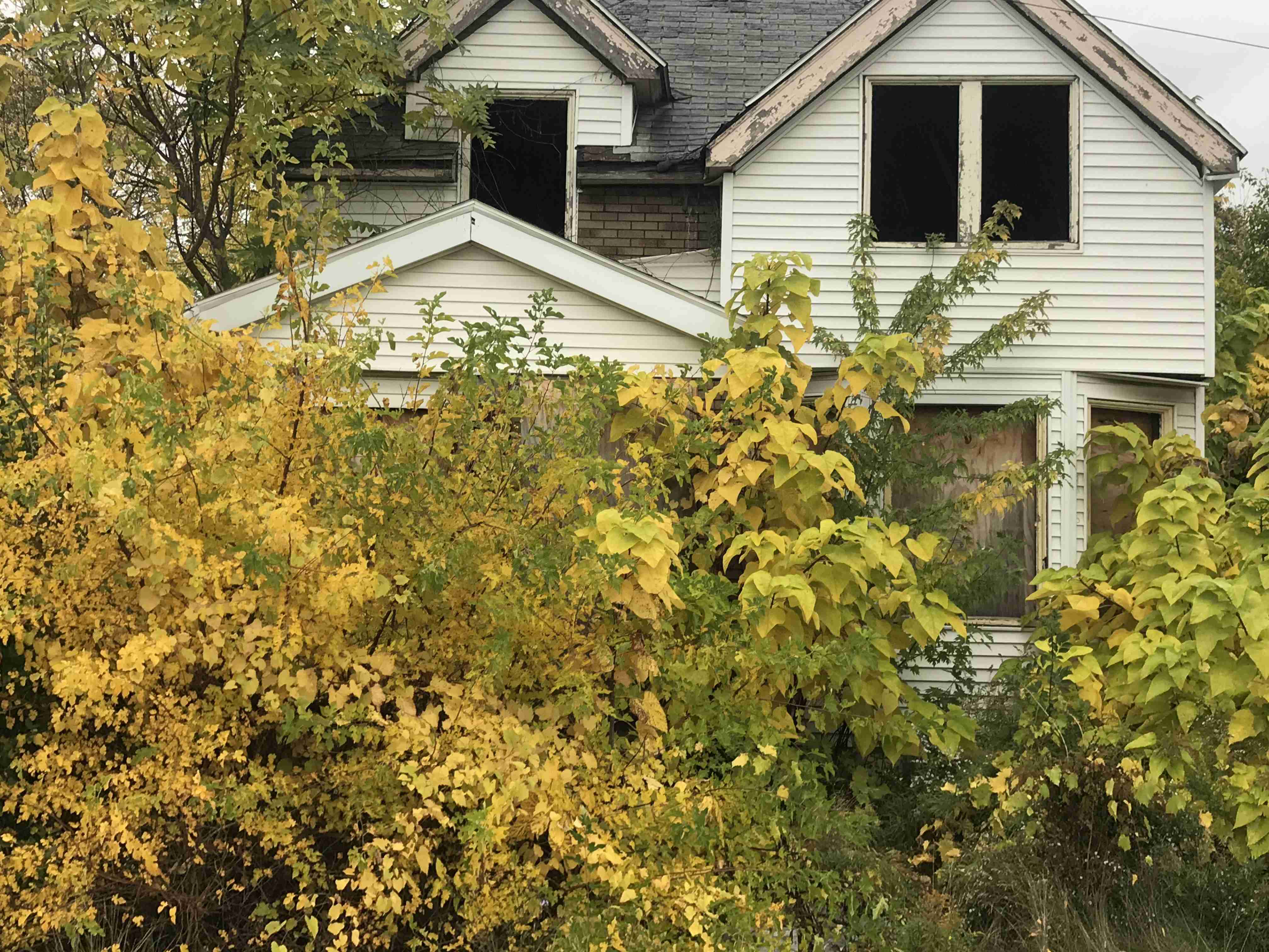 Photo Oct 15, 10 41 56 AM.jpg